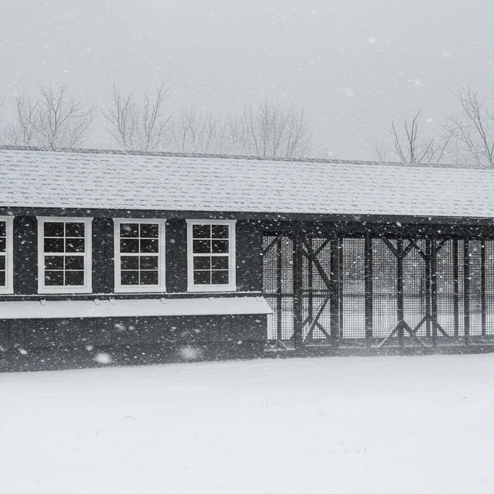 Safe Heating, Ventilation & Deep Litter Tips for Winter Chicken Coops