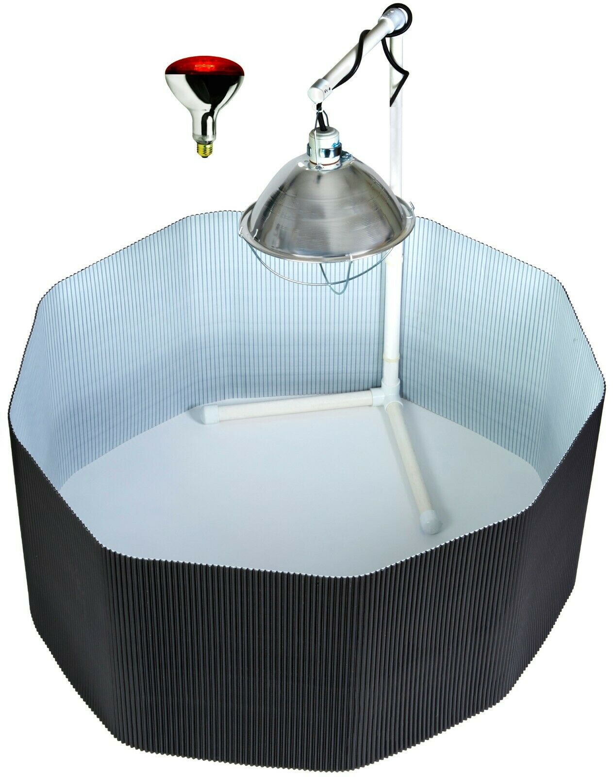 Deluxe Chick Brooder Kit With Corral, Lamp Stand, Lamp, & Bulb