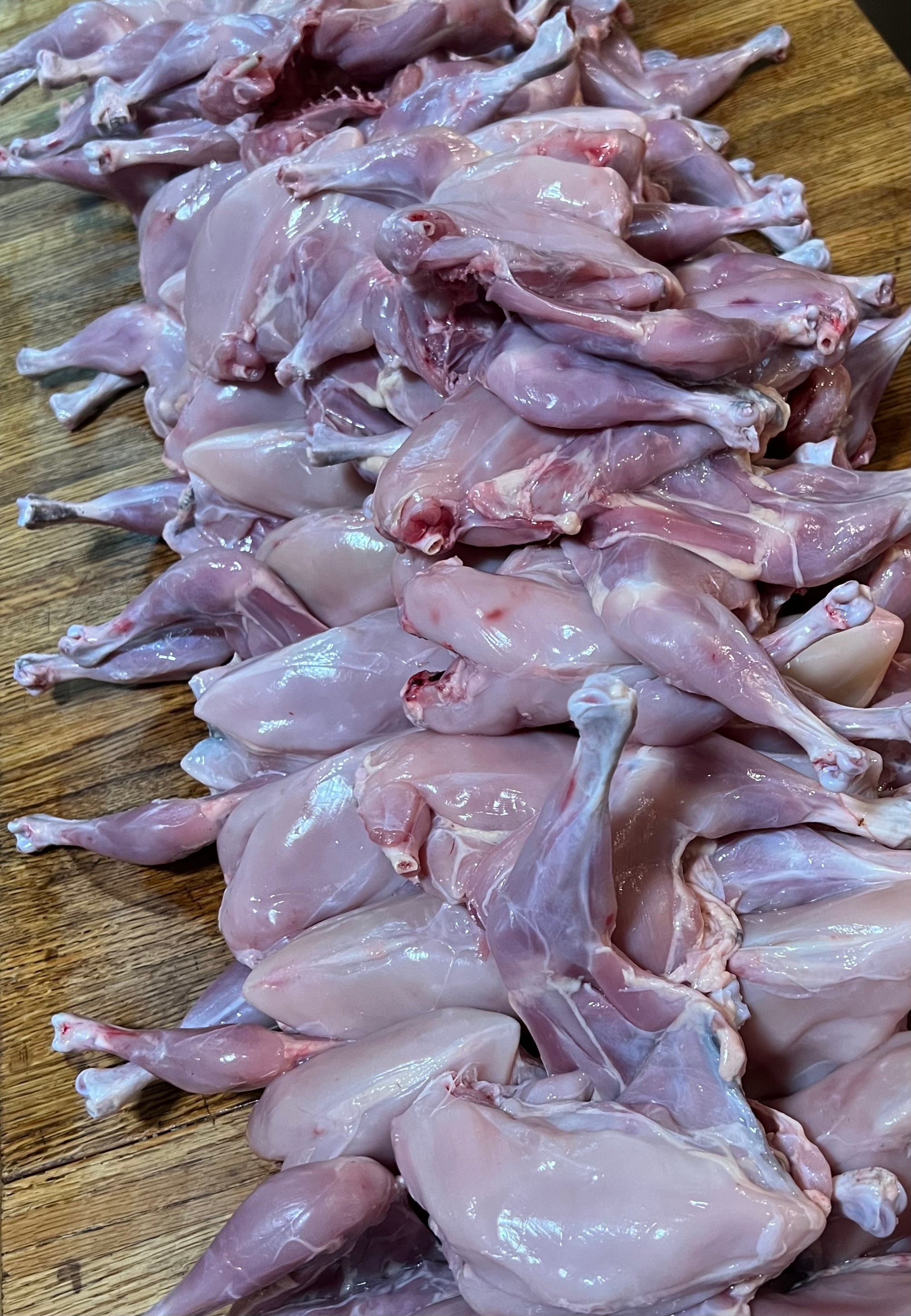 North Star Farms - White American Bresse – North Star Line- "JENN'S GEMS" Group