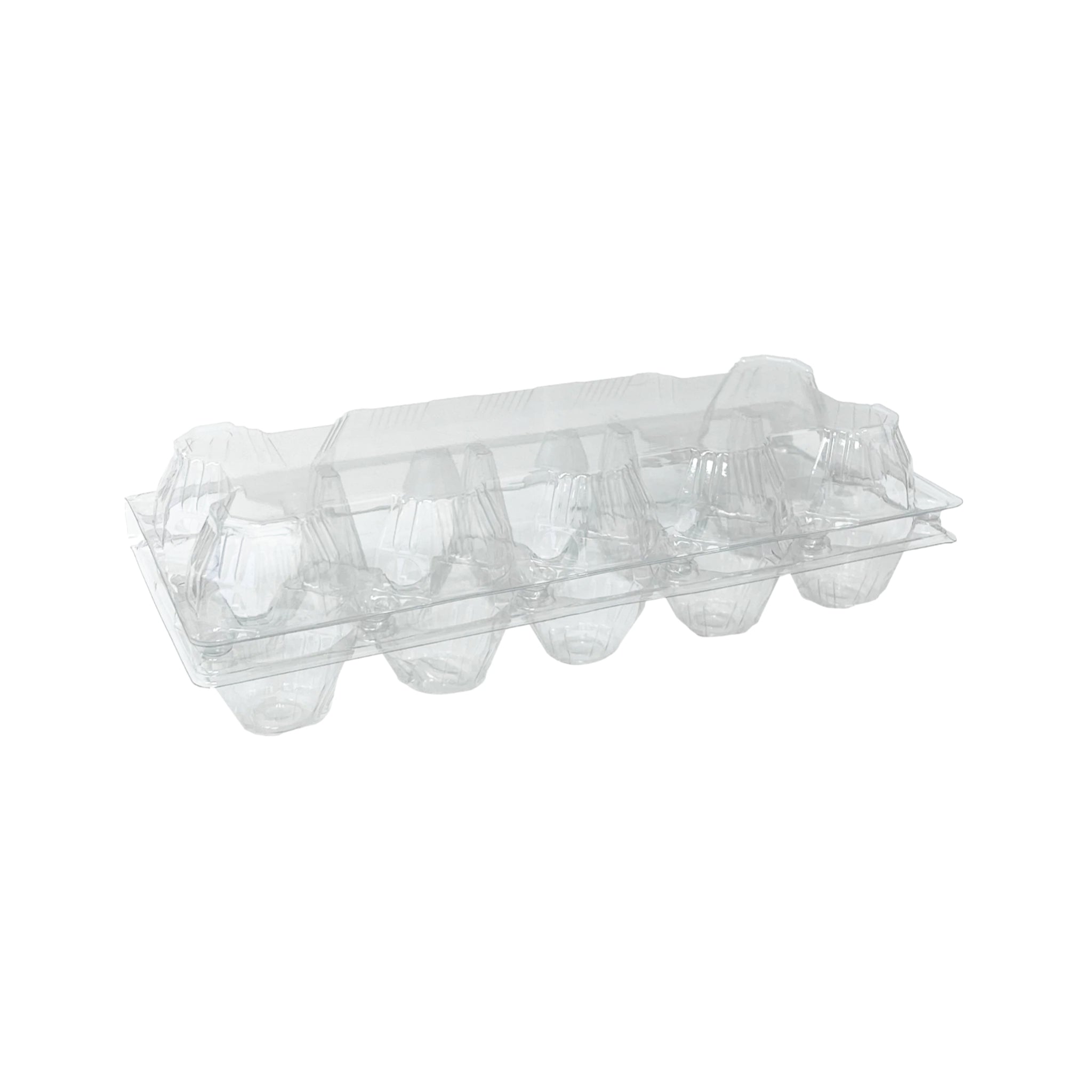 Hatching Time 10-Egg Carton - Clear Plastic