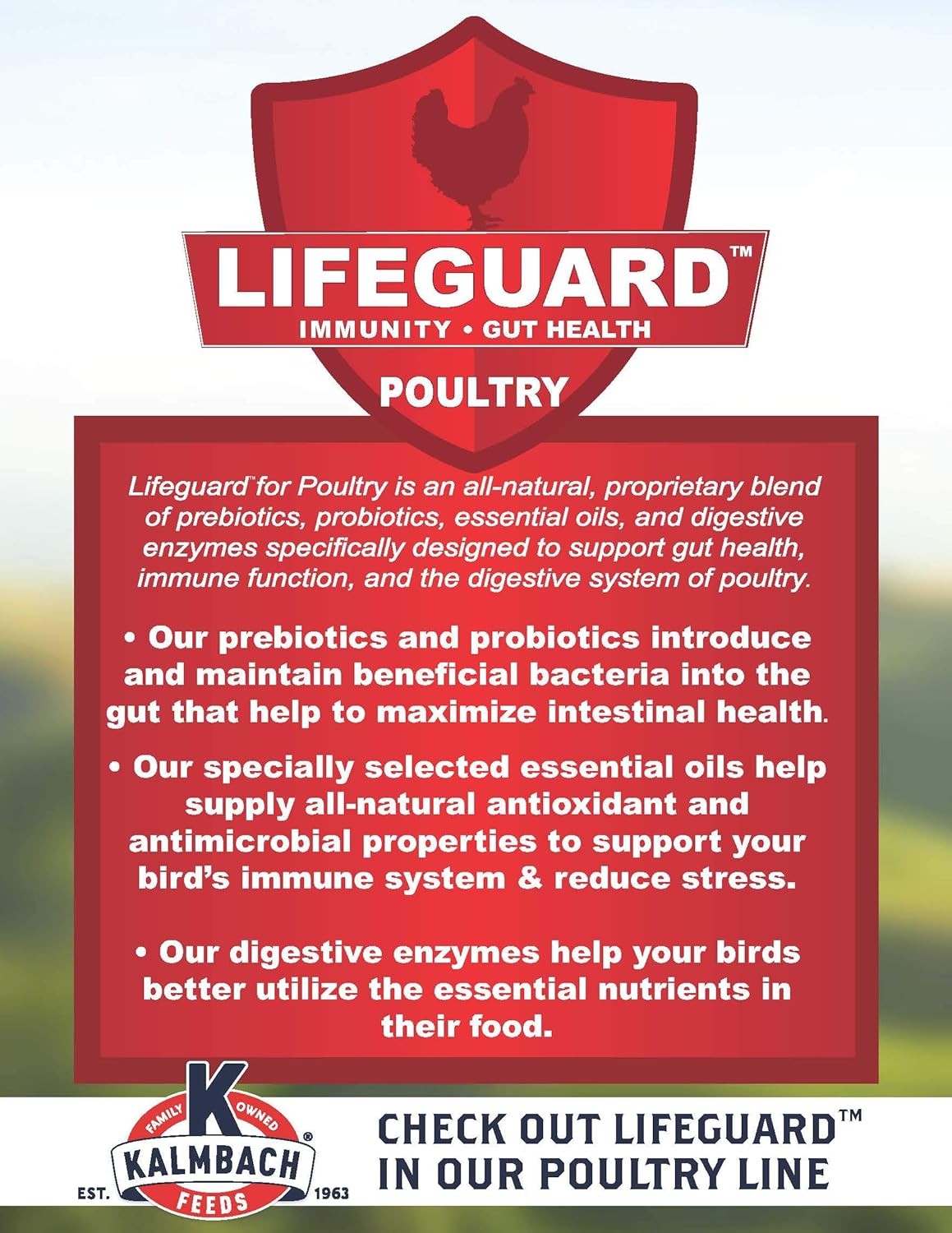 Kalmbach 18% All Natural Start Right Chick Crumbles - 25 lb immunity 