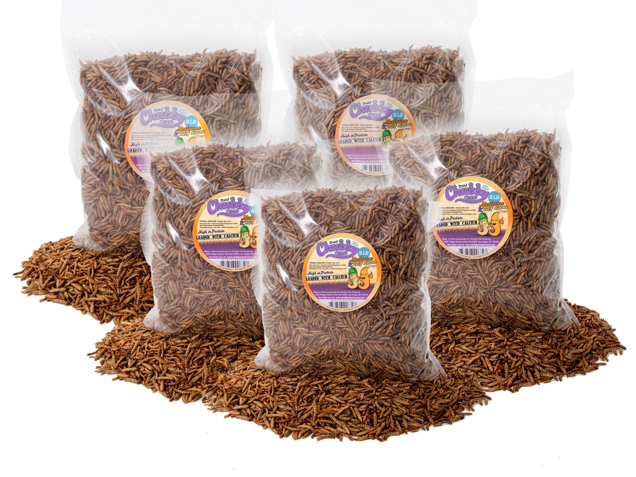 Chubby Mix 10lb (Mealworm & Black Soldier Fly Larvae)