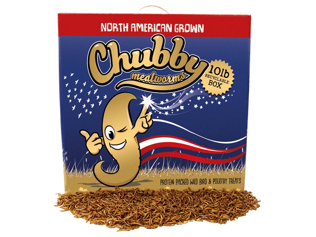 Chubby North American Dried Mealworms 10Lbs (Montreal Grown) Recyclable Box Non-GMO