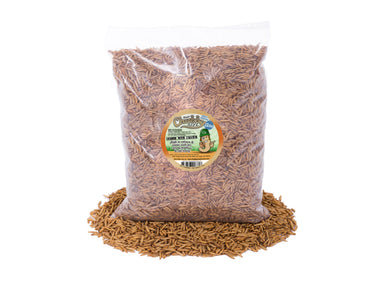 11 lb Chubby Dried Black Soldier Fly Larvae