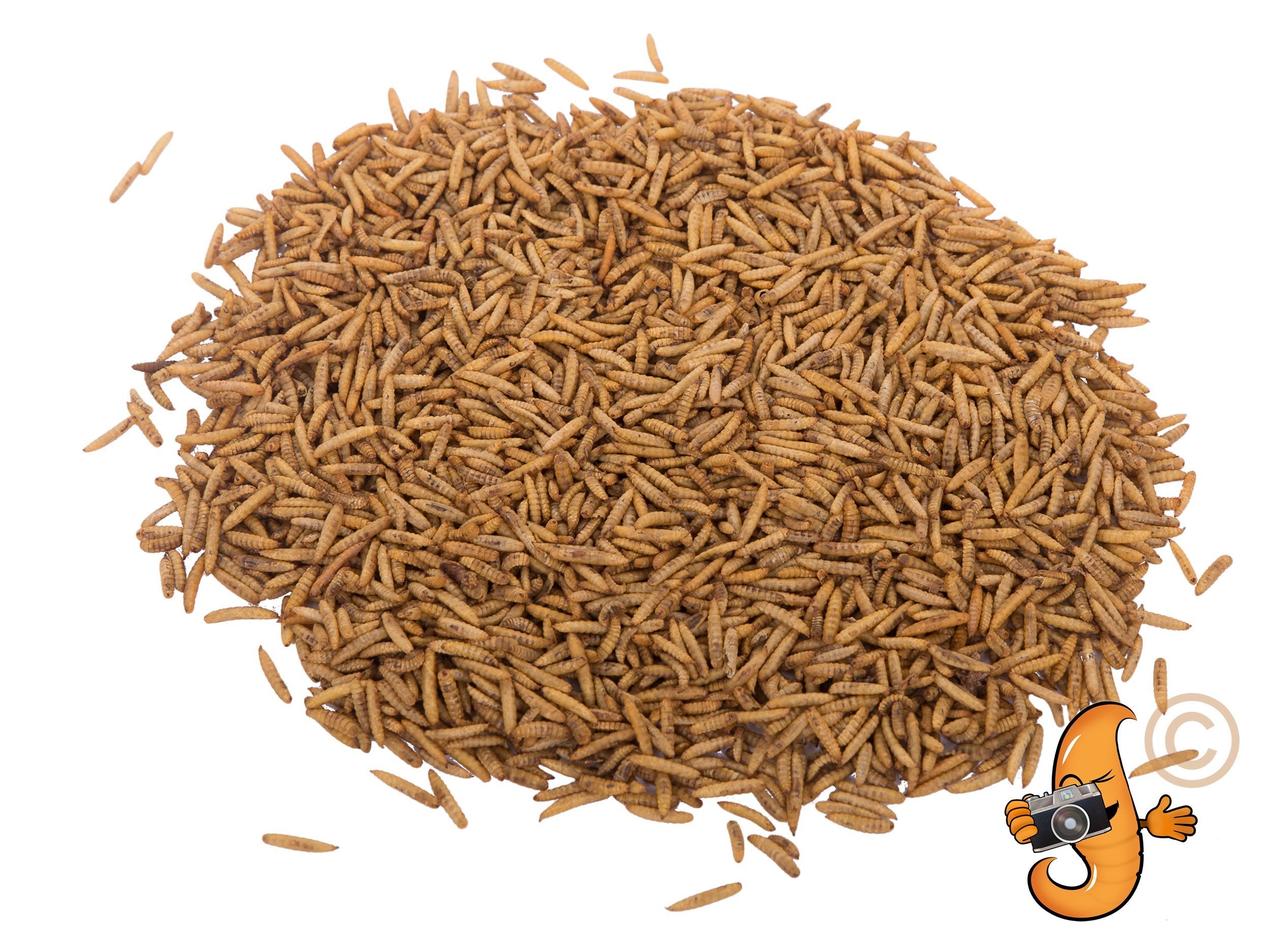 11 lb dried BSFL animal treat from Chubby