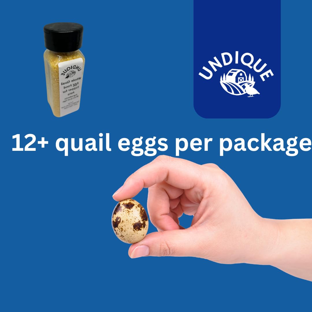 12+ Quail Eggs per Package