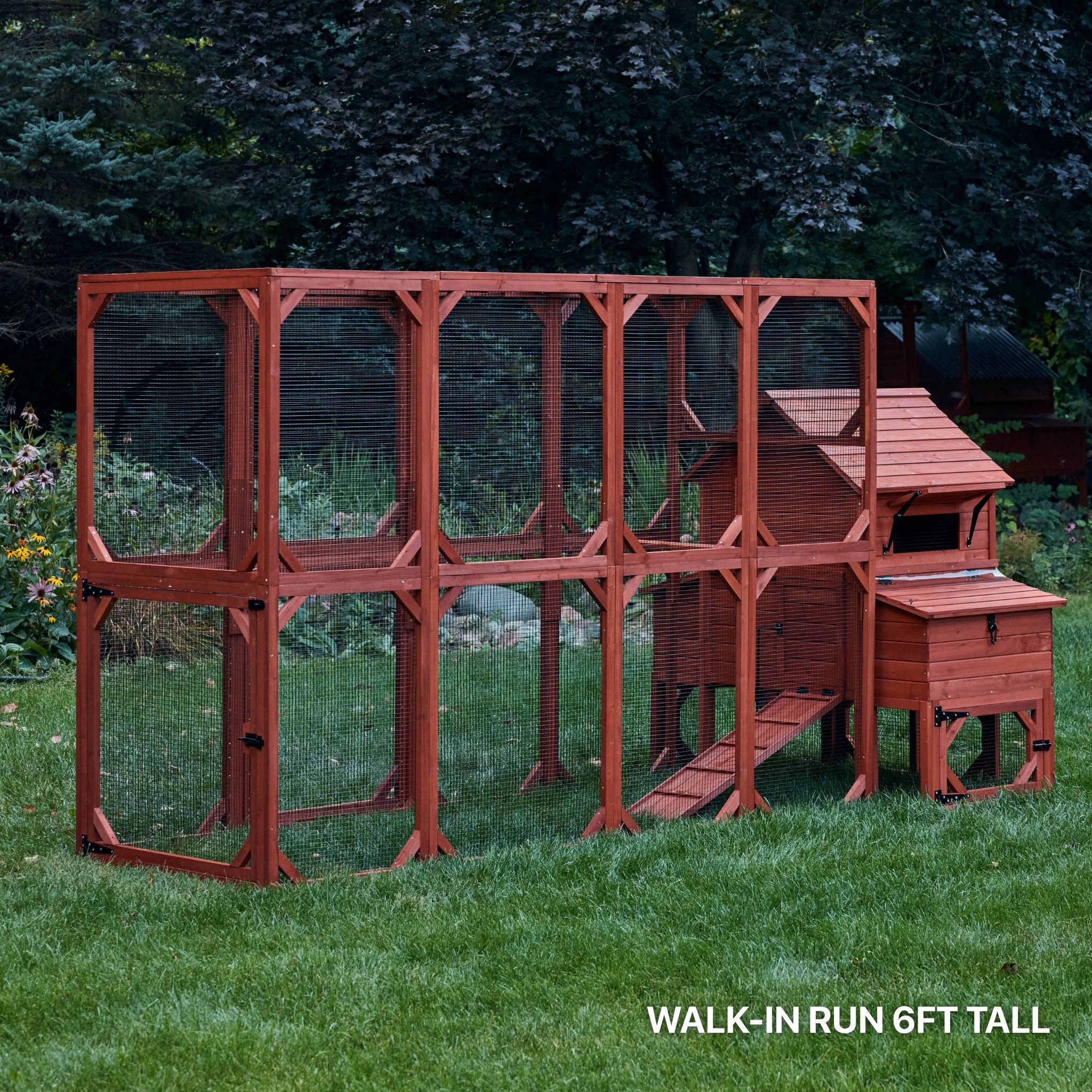 Chicken Coop Kit for 6 Chickens | Orpington Lodge