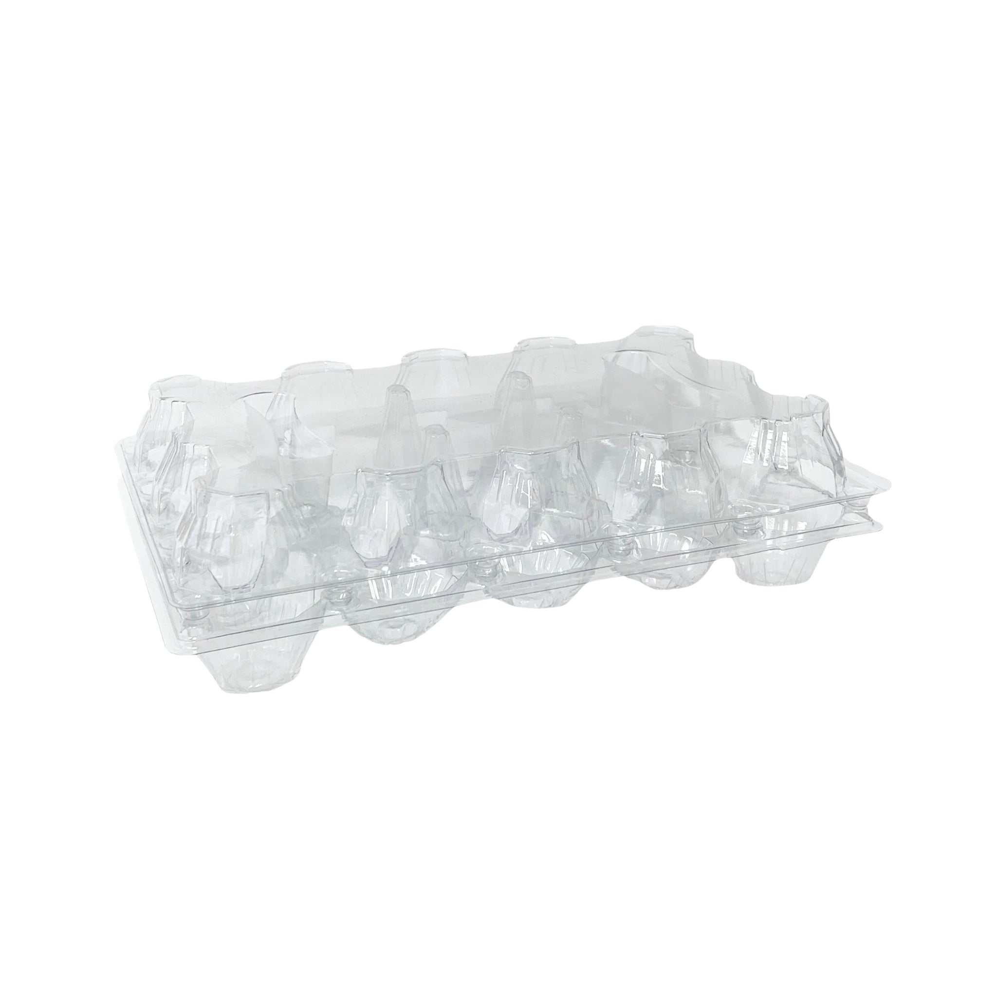 Hatching Time 15-Egg Carton - Clear Plastic