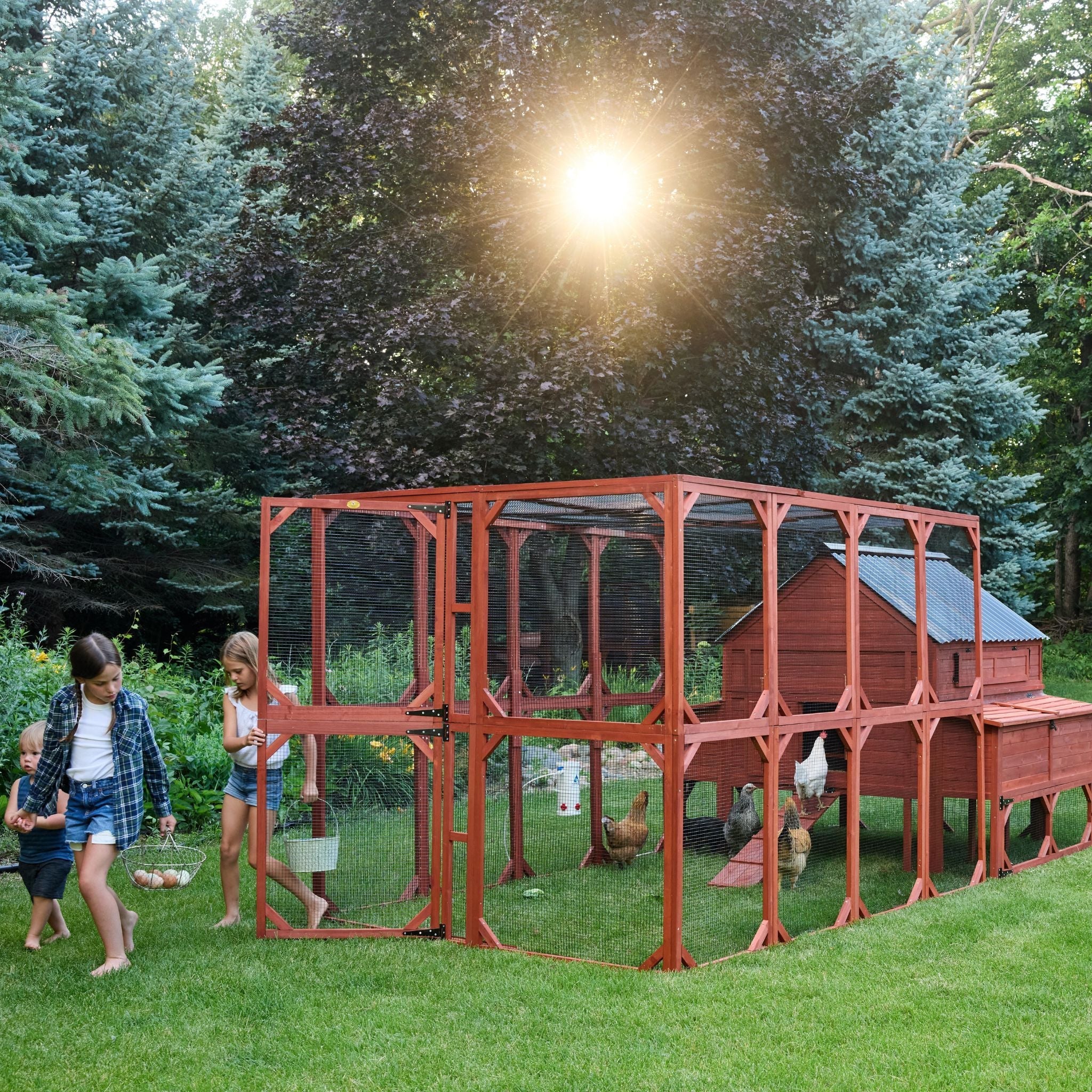 Chicken Coop Kit for 15 Chickens | Brahma Chicken Coop