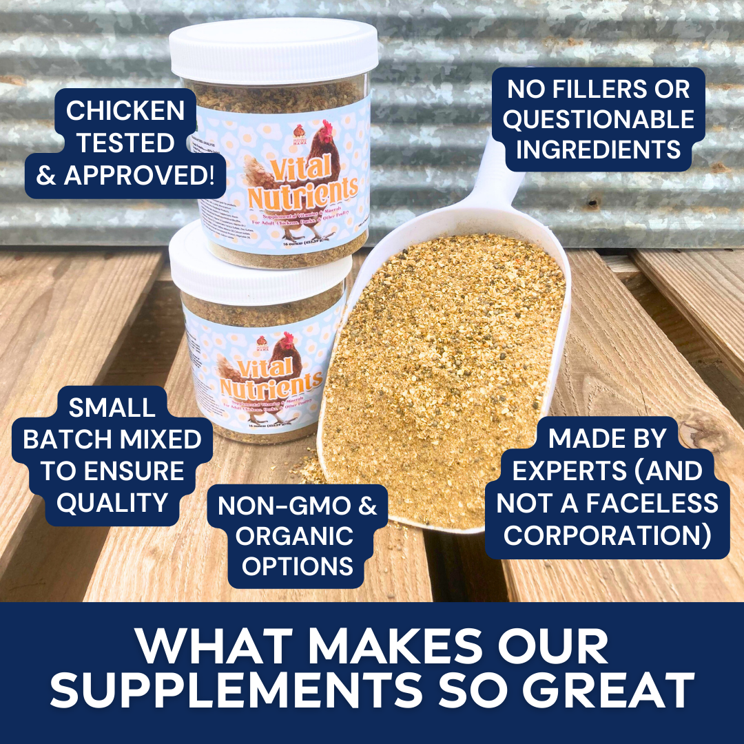 Nutrientes vitales: Vitaminas esenciales y oligoelementos suplementarios para gallinas y patos domésticos