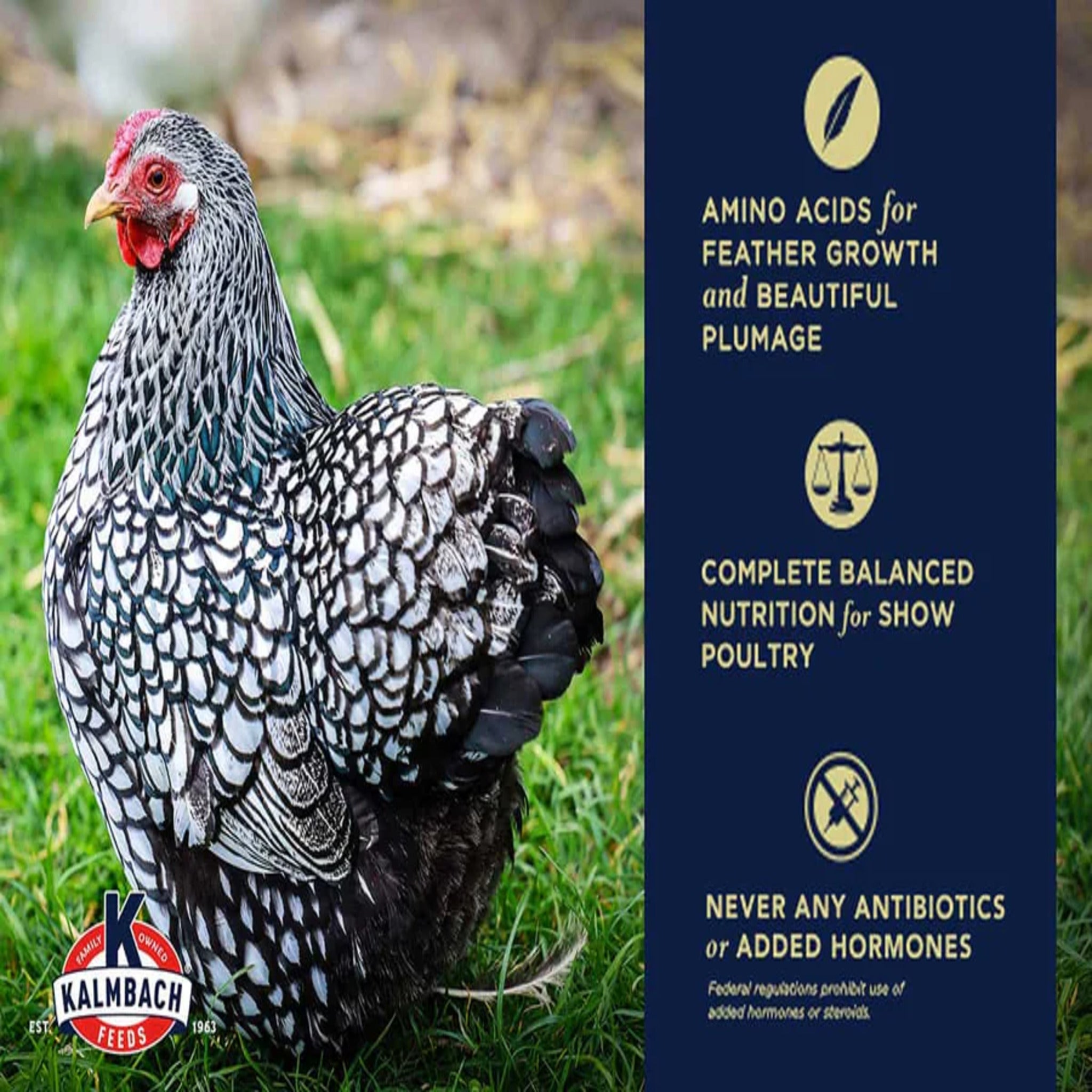 Kalmbach 24% Show Bird Poultry & Gamebird Starter Grower - 5 lb