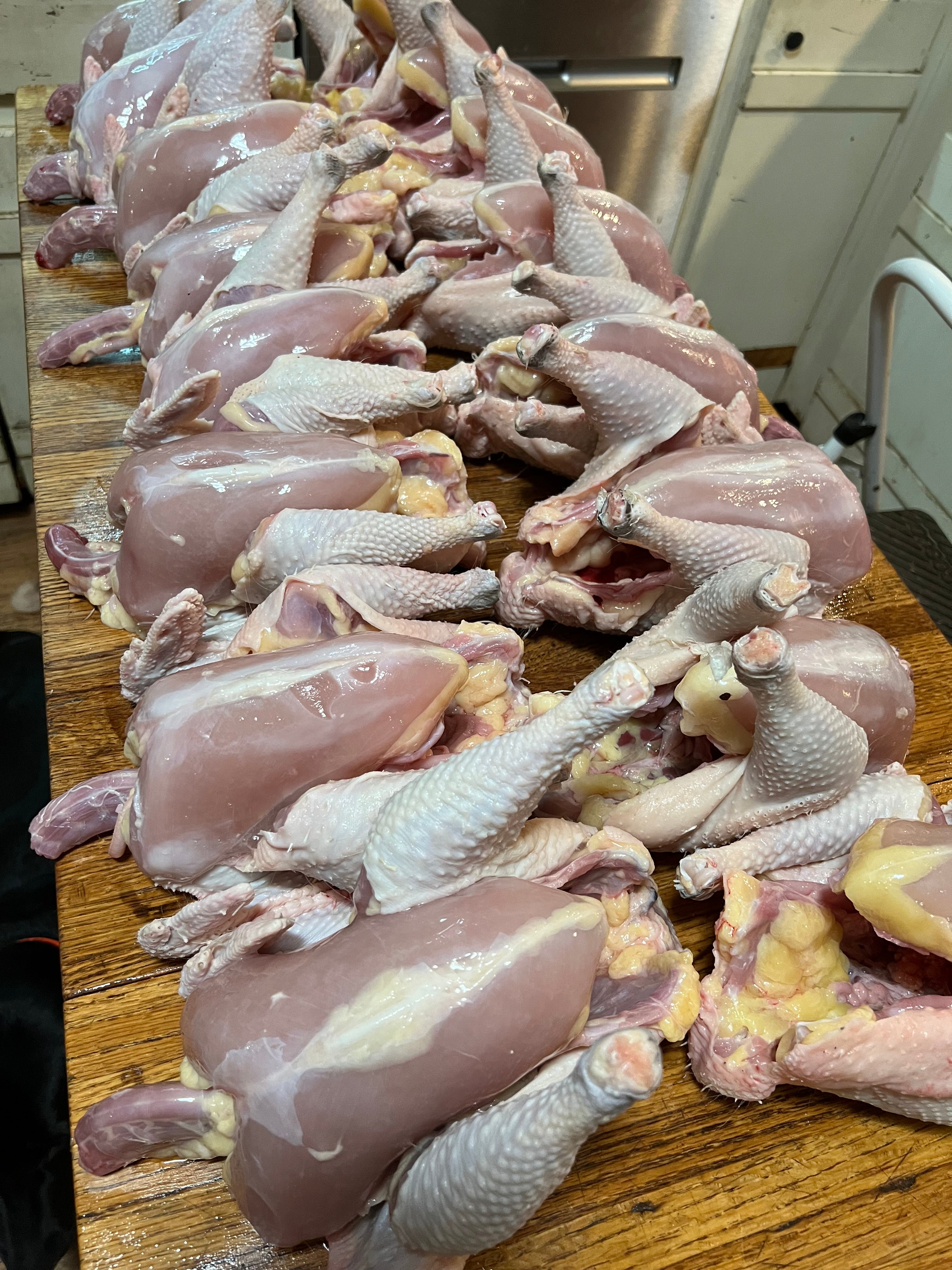 North Star Farms North Star Gauloise - The New AMERICAN BRESSE - 10 Count Box of "Abigail's Crystal Foot" Group