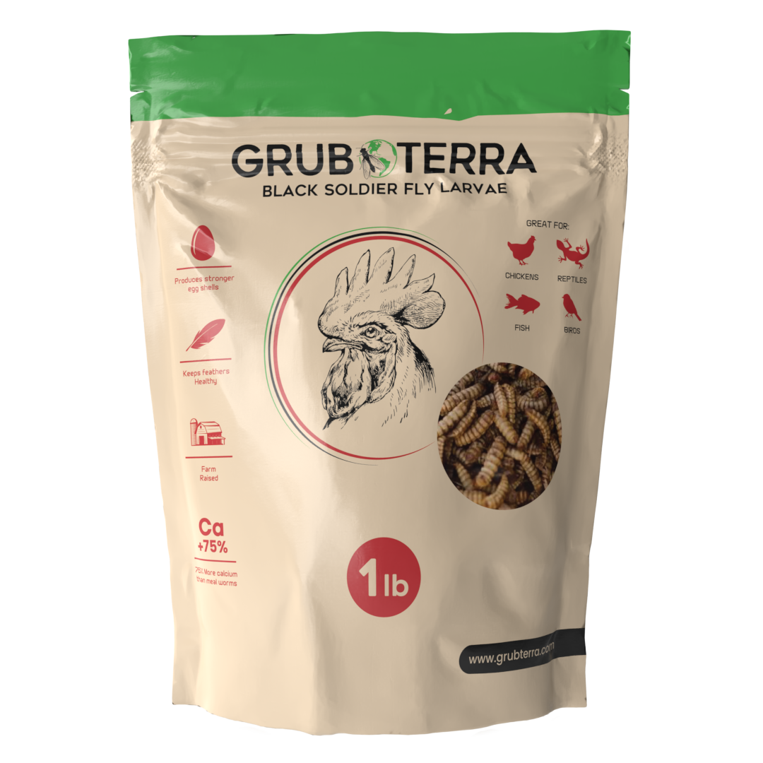GrubTerra Dried Larvae Sample main image