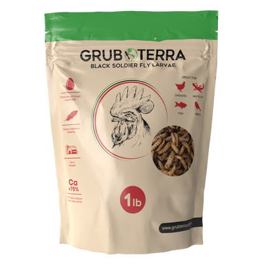 GrubTerra Dried Larvae Sample main image