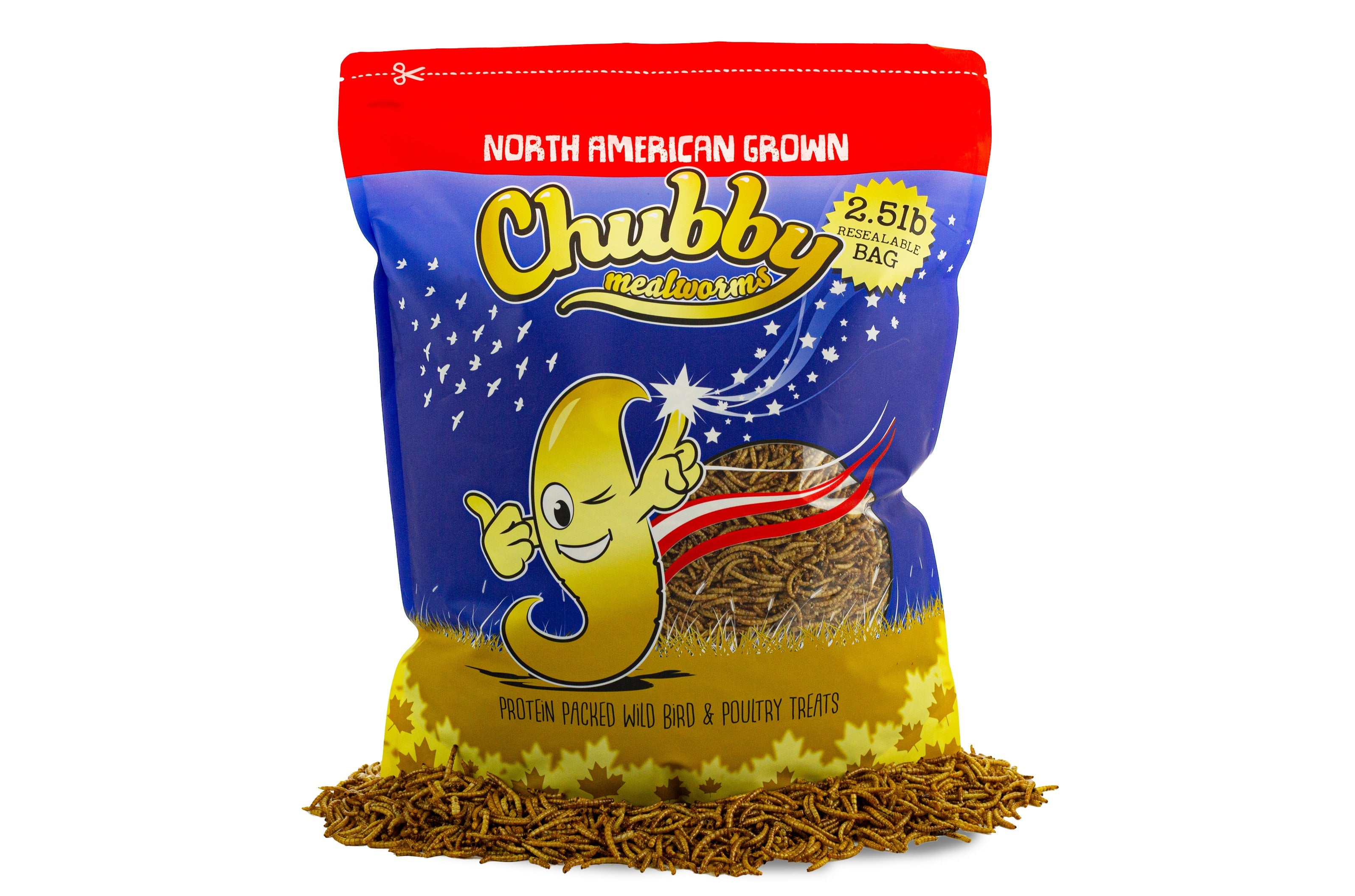 Chubby Mealworms secos norteamericanos 2,5 lbs (cultivados en Montreal) Sin OGM