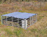 Broiler chicken tractor with 5-gallon water bucket support brace