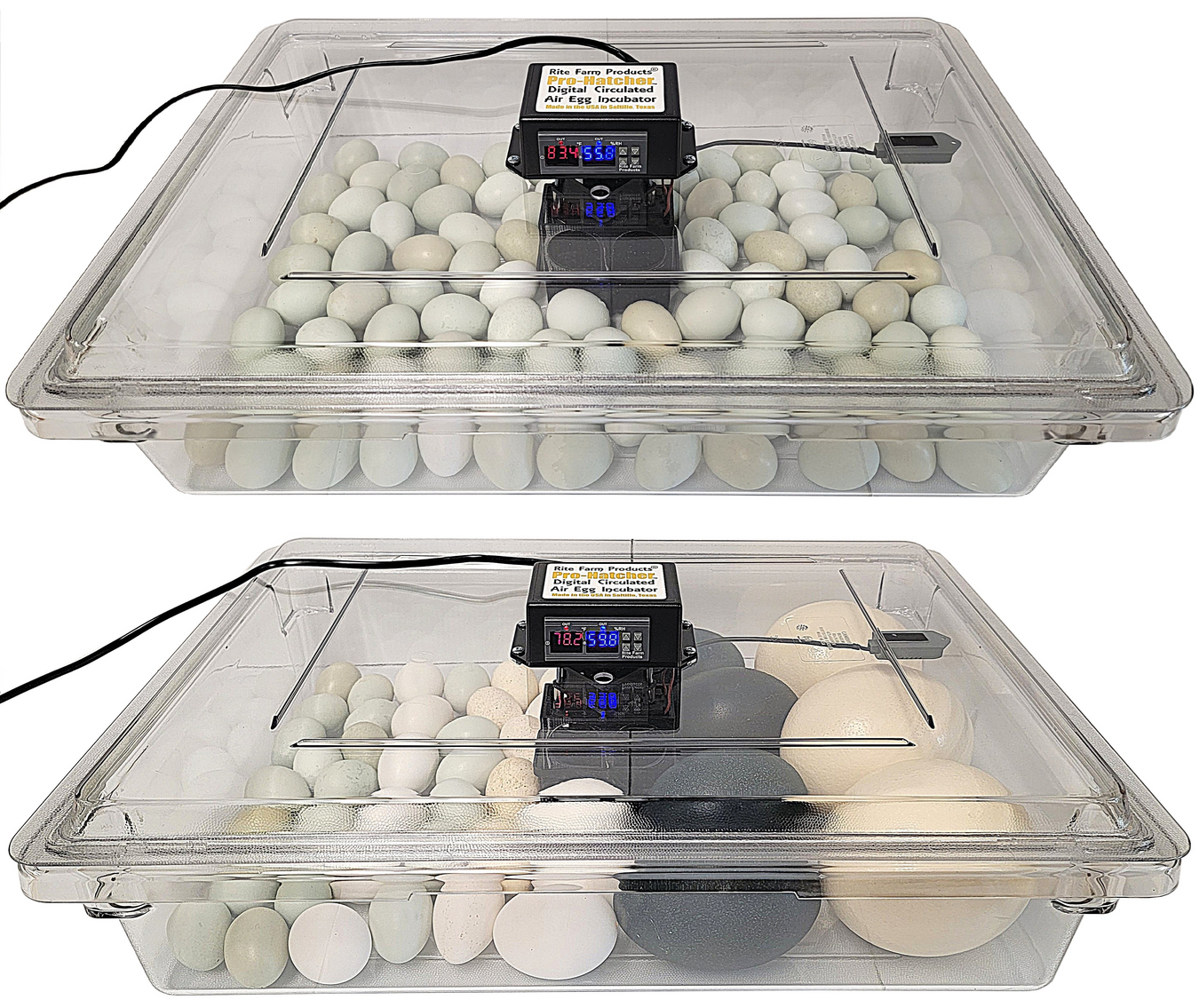 Egg Lifters