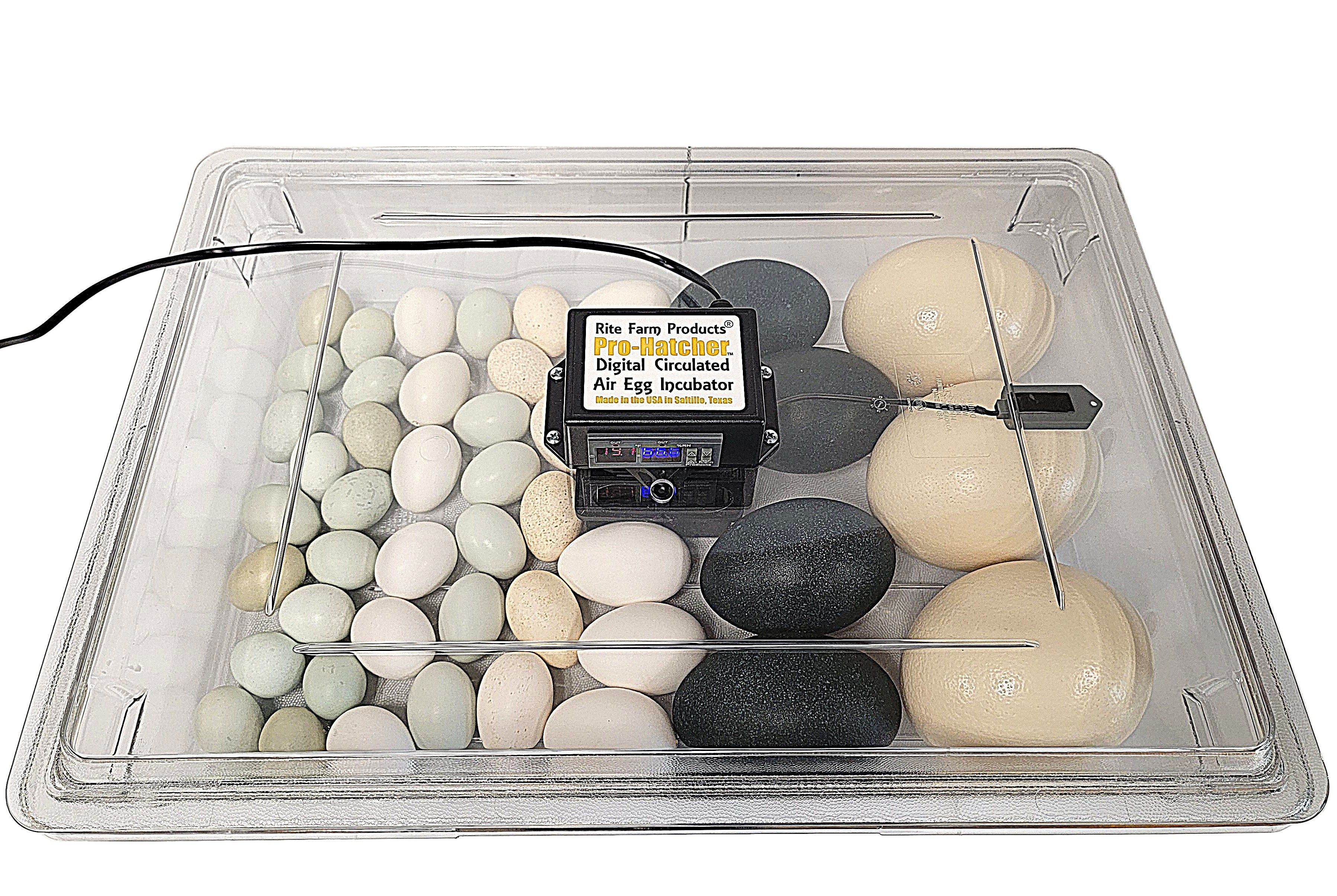Rite Farm Products PRO Hatcher Incubator for Egg Tray Transfer from Cabinet Incubators