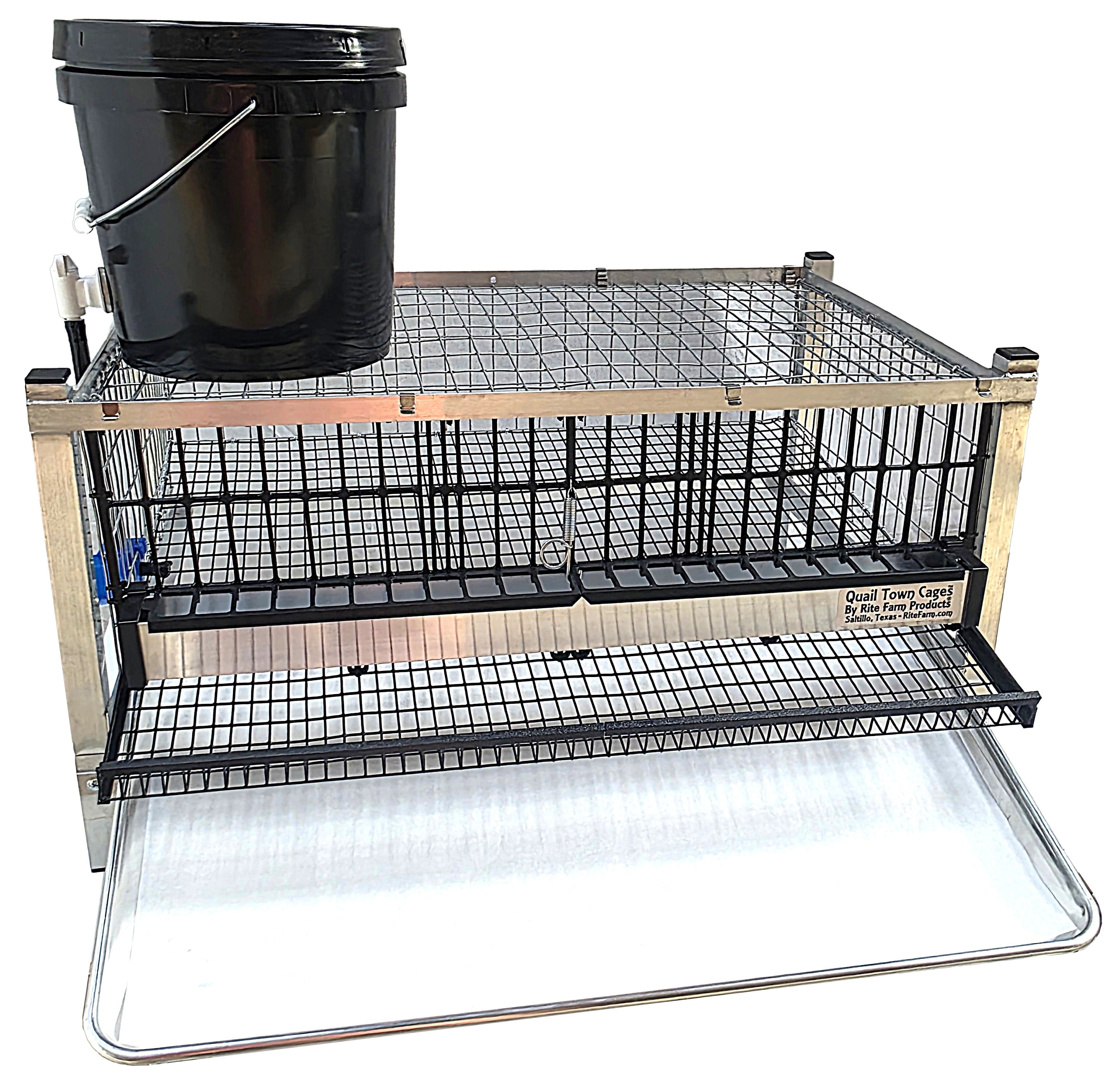 Quail Town Cages by Rite Farm Products - Pro Modular Quail Grow Out & Layer Cage Tower System Transparent Reservoir