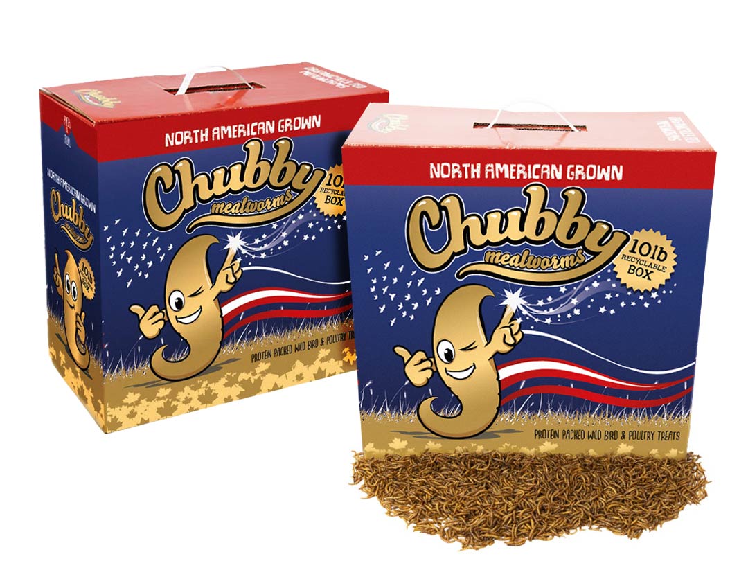 Chubby North American Dried Mealworms 20lbs (Montreal Grown) Recyclable Boxes Non-GMO