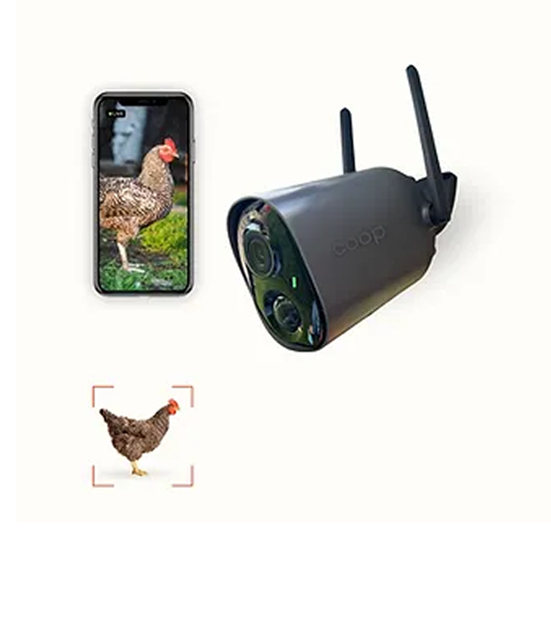 Chicken Coop Smart Camera | App & WiFi Control — Gone Broody