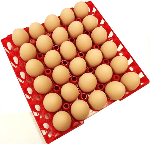 Rite Farm Products 30 Chicken Egg Poly Trays