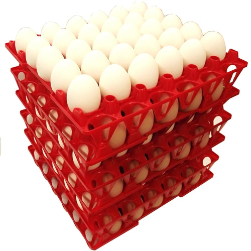 Rite Farm Products 30 Chicken Egg Poly Trays