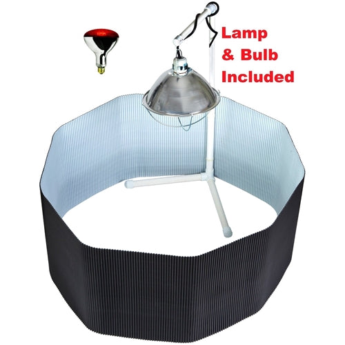 Deluxe Chick Brooder Kit With Corral, Lamp Stand, Lamp, & Bulb