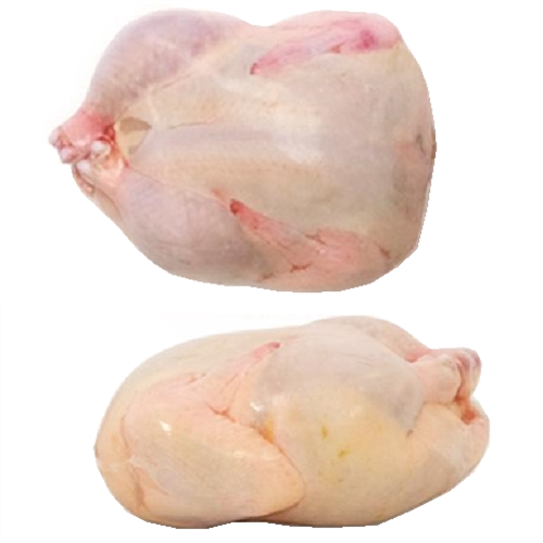16"x25" Turkey Shrink Bags Poultry Freezer