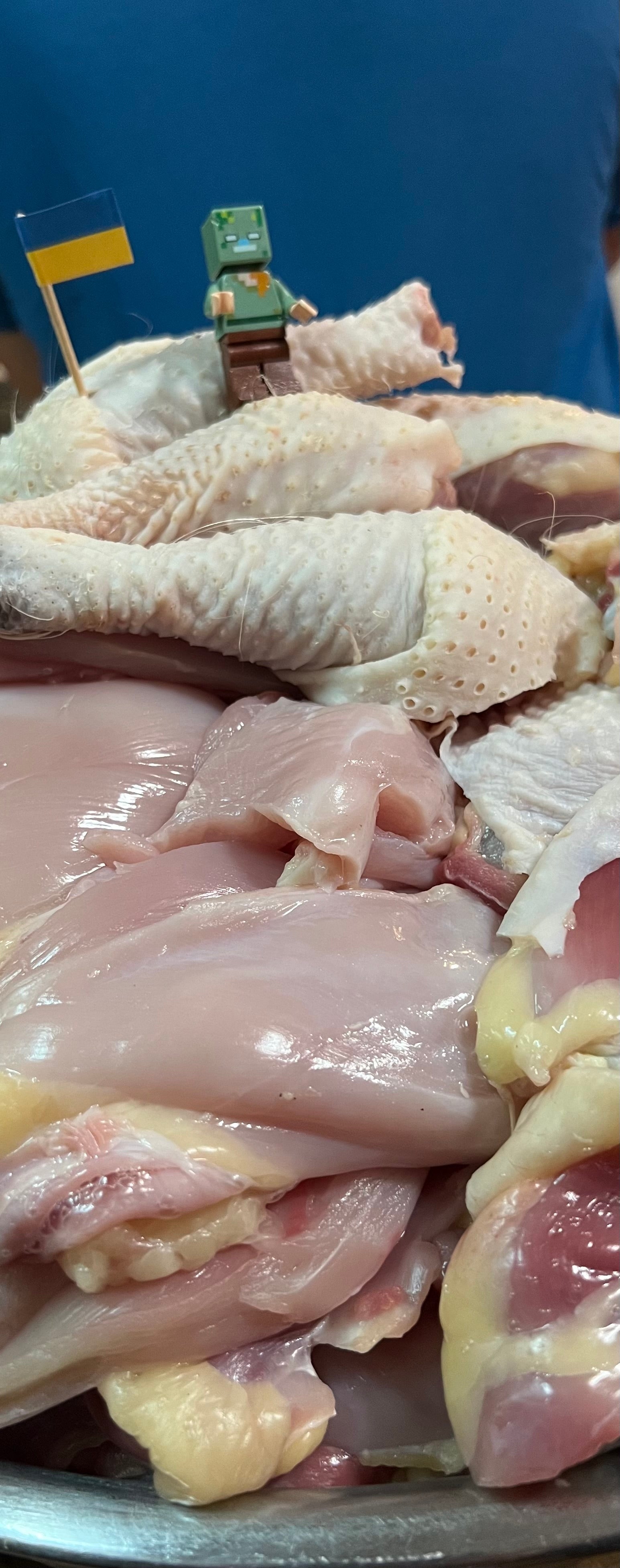 North Star Farms - White American Bresse – North Star Line- "JENN'S GEMS" Group