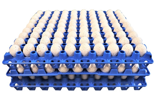 Rite Farm Products 90 Egg Capacity Quail, Pigeon, Dove, & Bird Size Trays