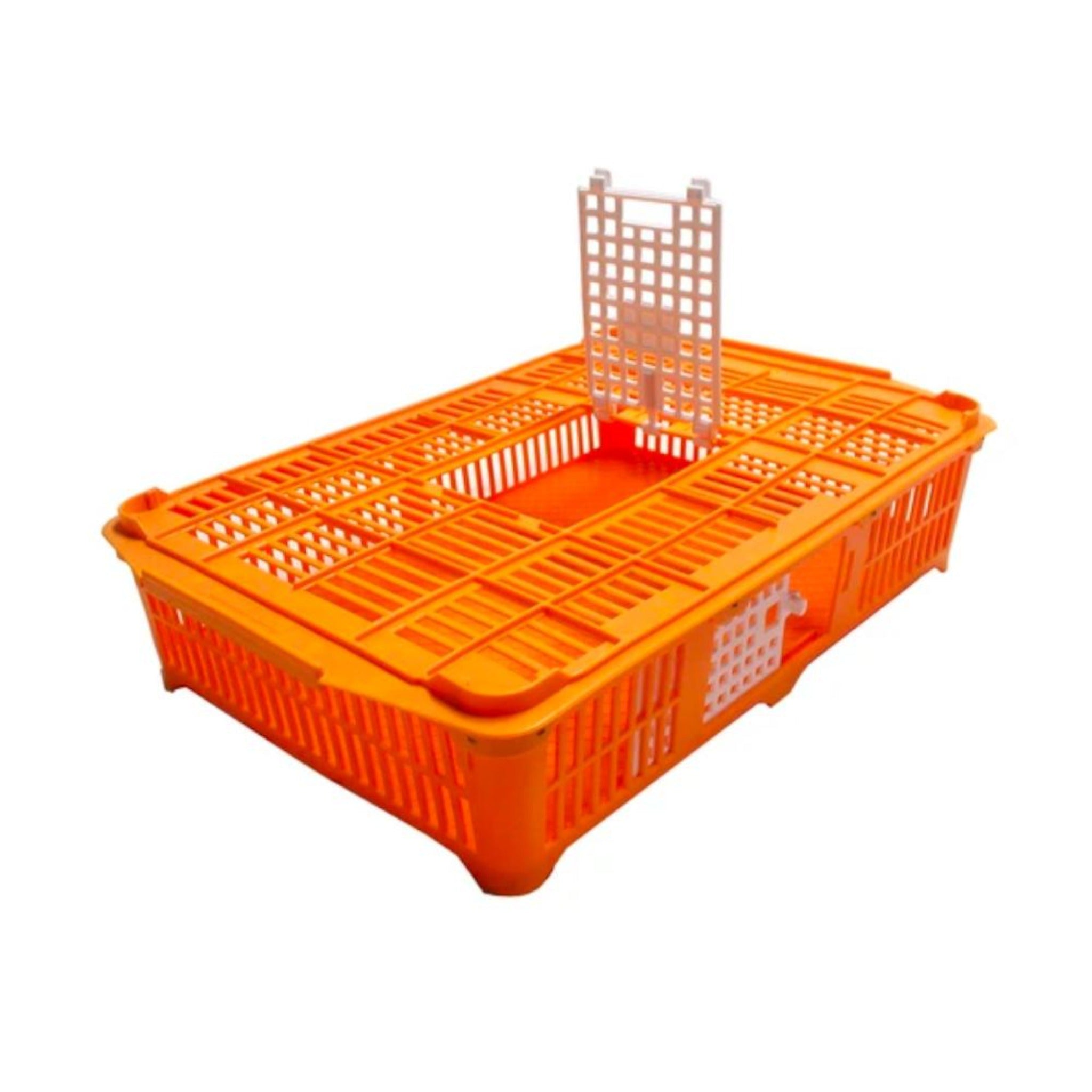 301021 poultry transport coop for up to 18 quail or 10 partridge.