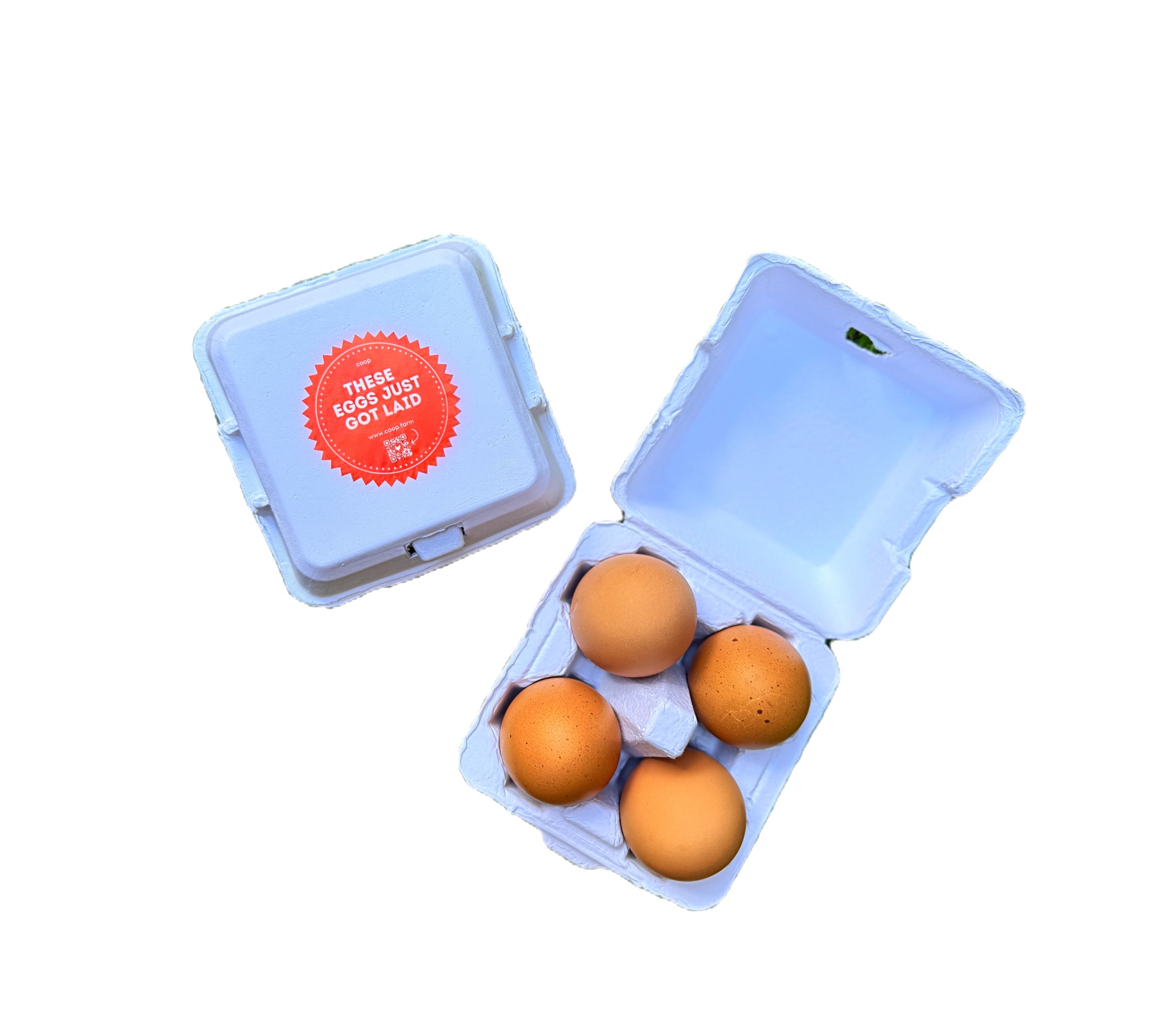 "Just Got Laid" 4-Egg Carton main image