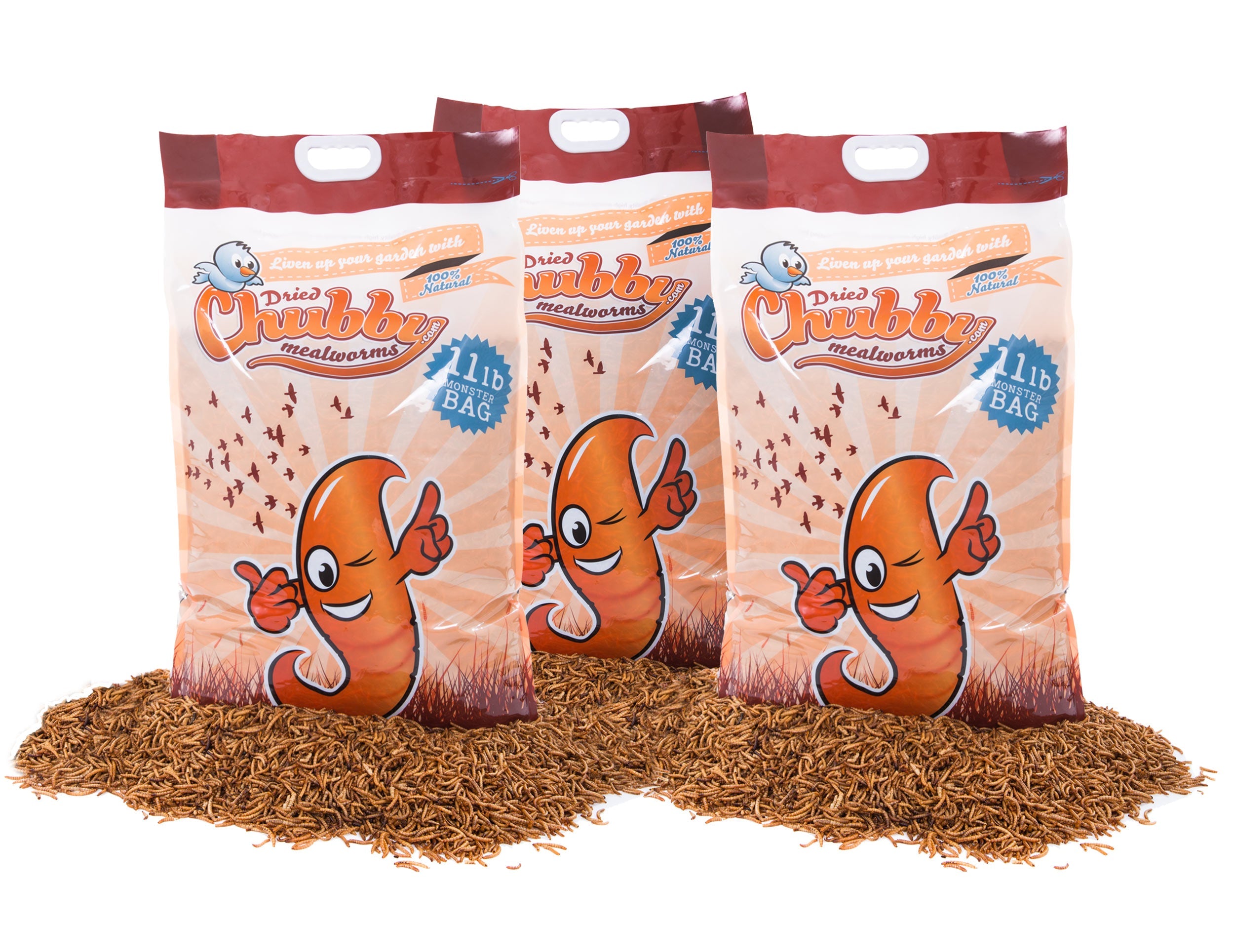 Chubby Dried Mealworms 33Lbs