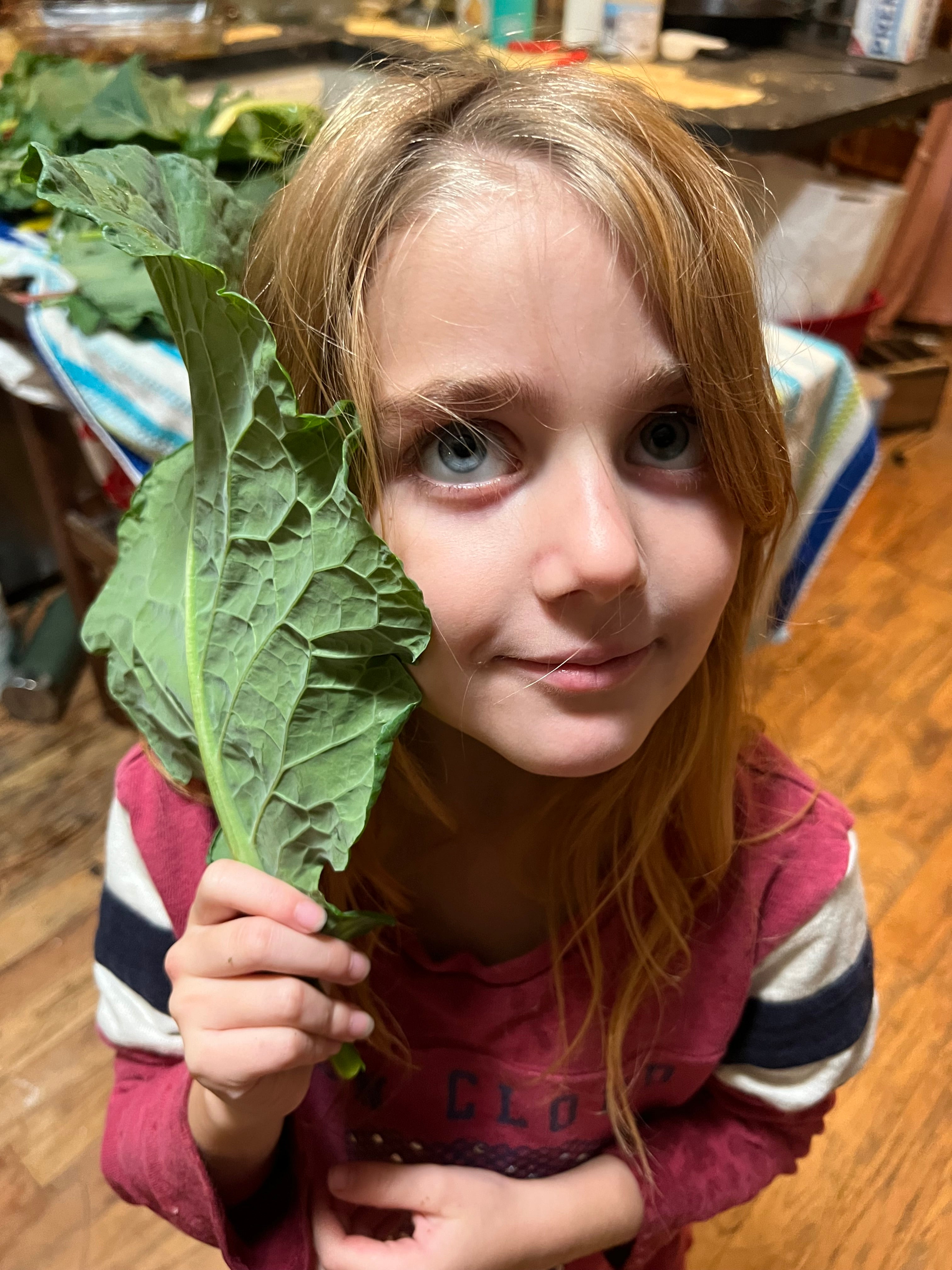 North Star Farms North Star Gauloise - The New AMERICAN BRESSE - 10 Count Box of "Abigail's Crystal Foot" Group