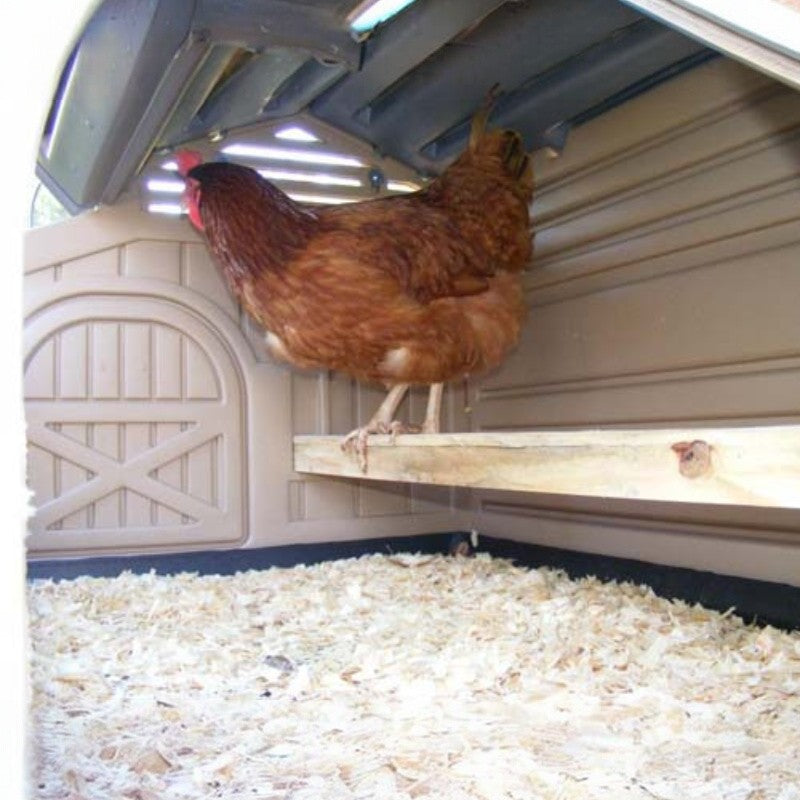 Snaplock by Formex Standard Chicken Coop 4 Chickens