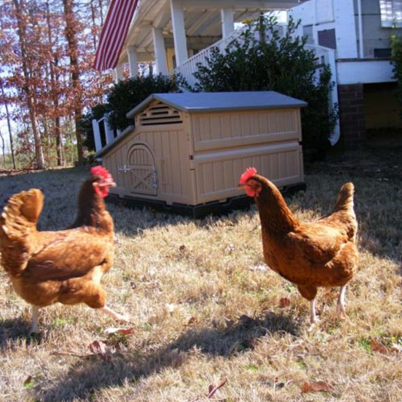 Snaplock by Formex Standard Chicken Coop 4 Chickens