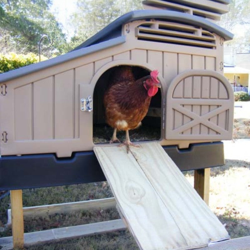 Snaplock by Formex Standard Chicken Coop 4 Chickens