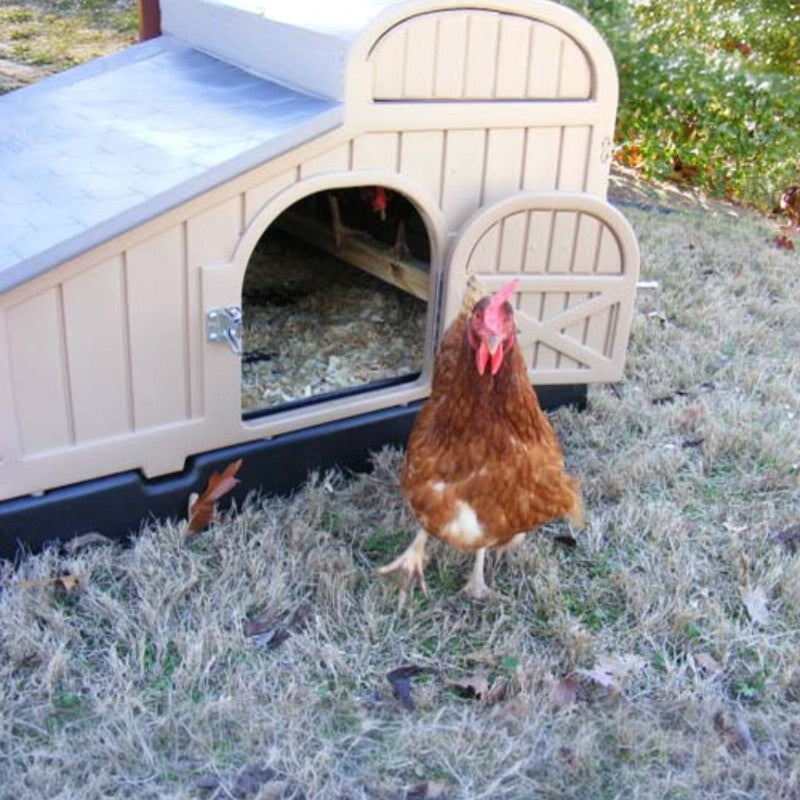 Snaplock by Formex Standard Chicken Coop 4 Chickens