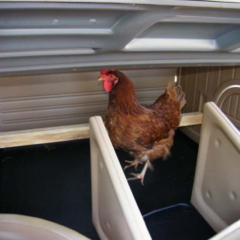 Snaplock by Formex Standard Chicken Coop 4 Chickens