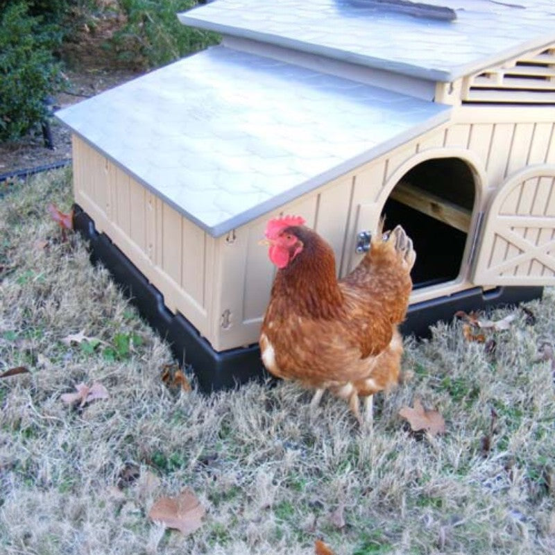 Snaplock by Formex Standard Chicken Coop 4 Chickens