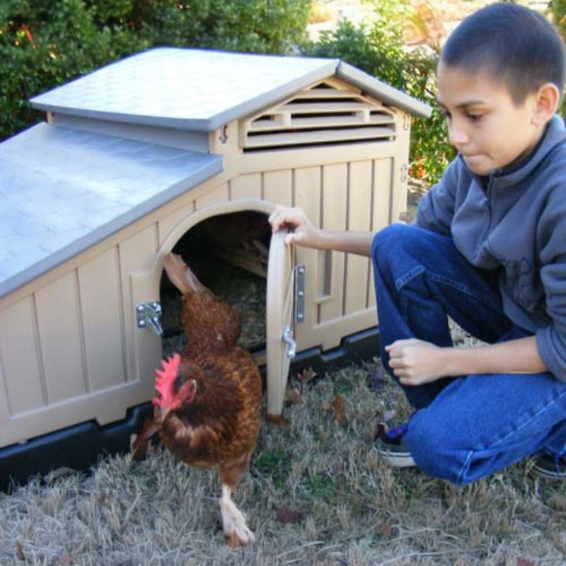 Snaplock by Formex Standard Chicken Coop 4 Chickens