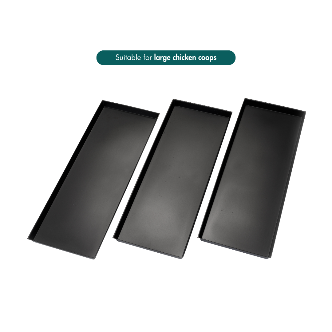3 Nestera rectangular dropping trays for large chicken coops