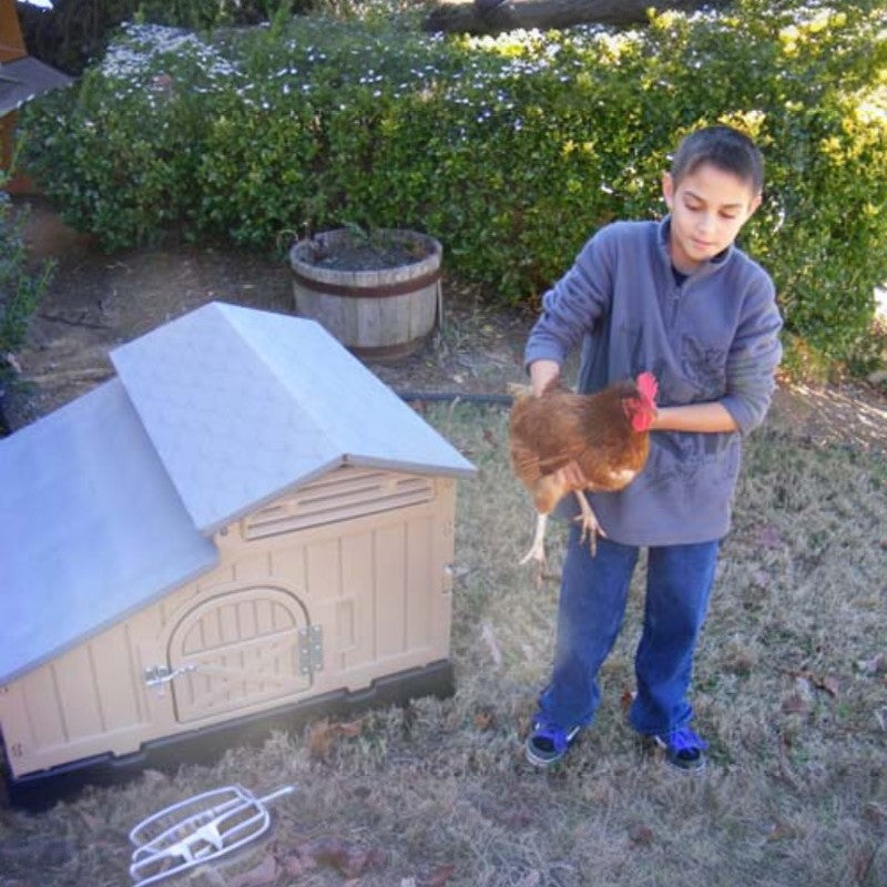 Snaplock by Formex Standard Chicken Coop 4 Chickens