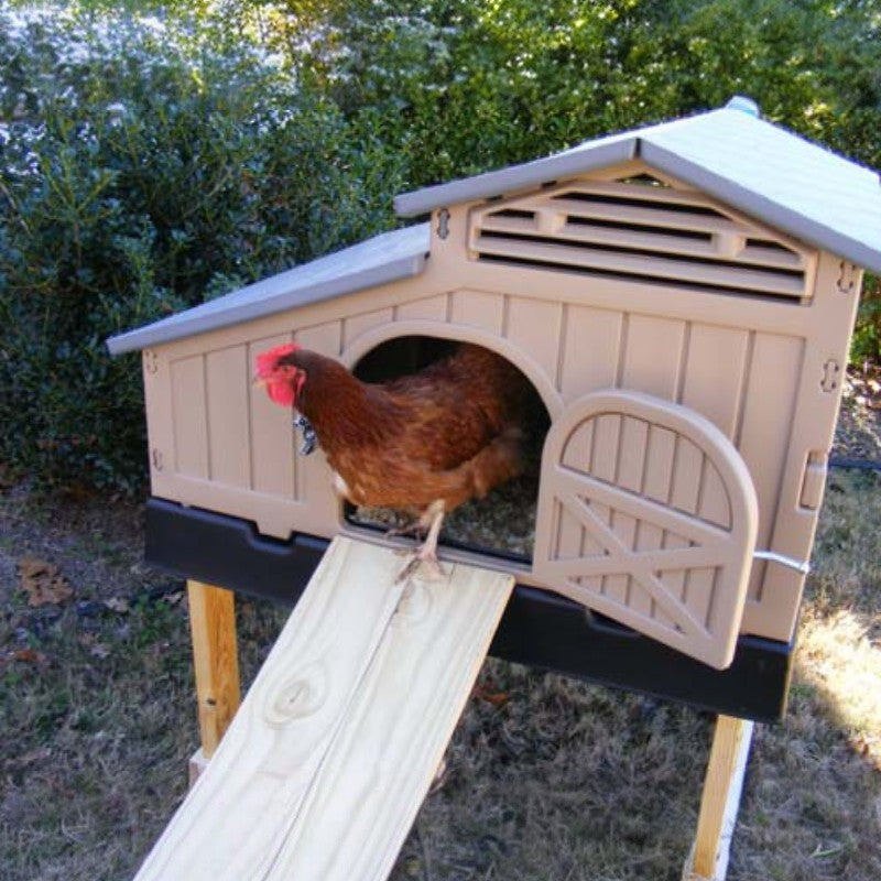 Snaplock by Formex Standard Chicken Coop 4 Chickens