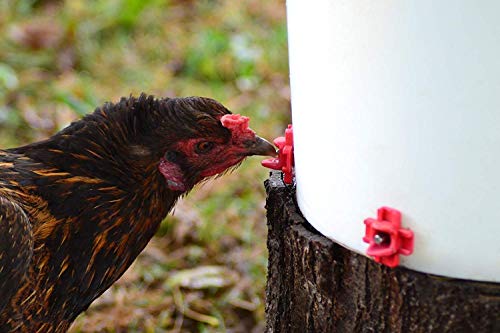 Make Your Own Chicken Waterer Kit - Horizontal Chicken Nipples 20-Pack + Installation Piece