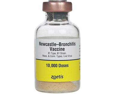 Newcastle Bronchitis B1, Mass. & Conn. 10,000 dose main image