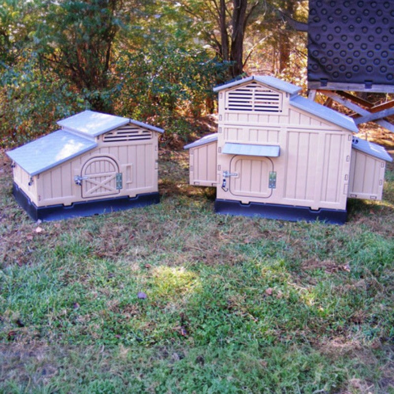 Snaplock by Formex Large Chicken Coop for 12 Chickens