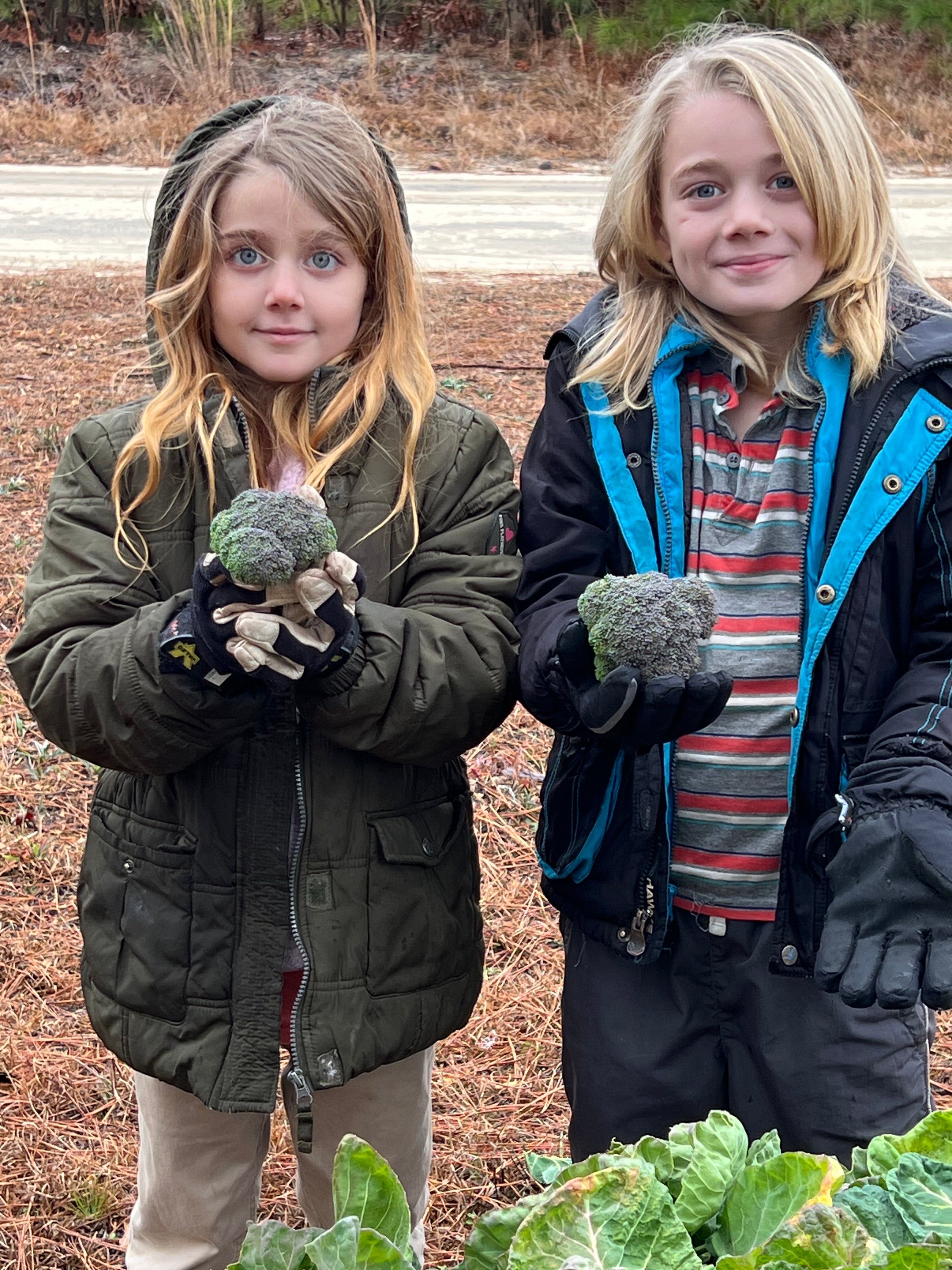 North Star Farms North Star Gauloise - The New AMERICAN BRESSE - 10 Count Box of "Abigail's Crystal Foot" Group