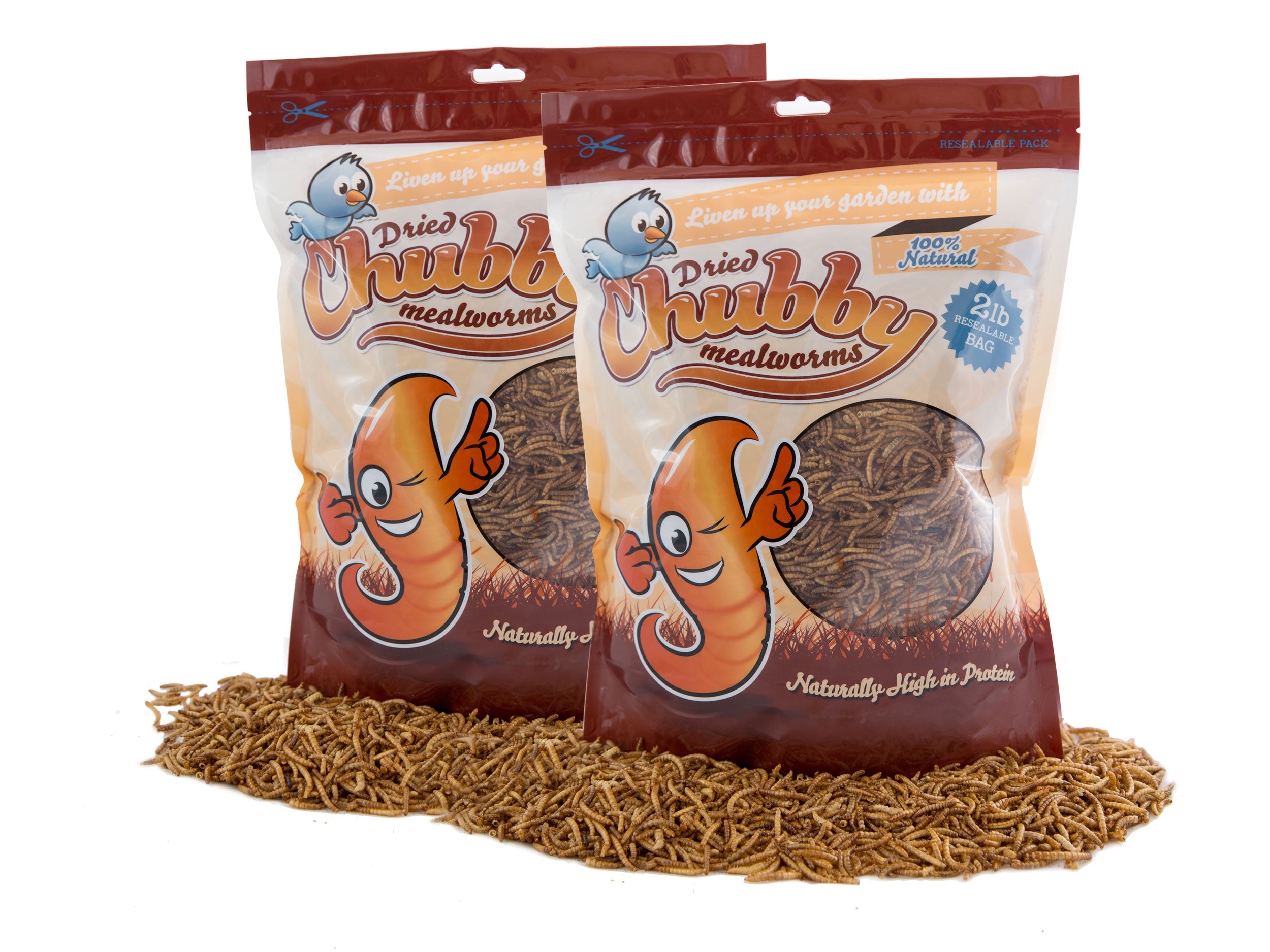Chubby Dried Mealworms 4Lbs